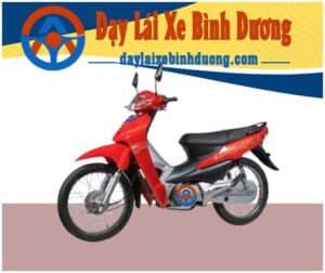 dạy lái xe bình dương
