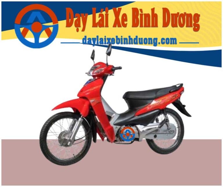 dạy lái xe bình dương