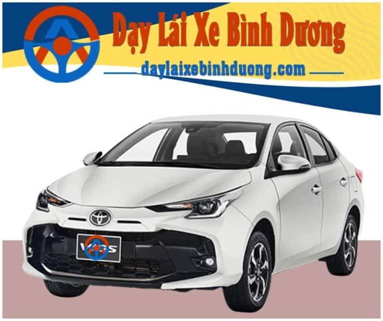 dạy lái xe bình dương