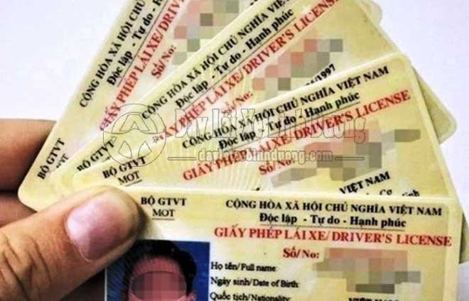 Độ Tuổi Được Cấp Giấy Phép Lái Xe