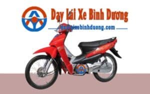 Các Bài Thi Sát Hạch Bằng Lái Ô Tô Tại Bình Dương