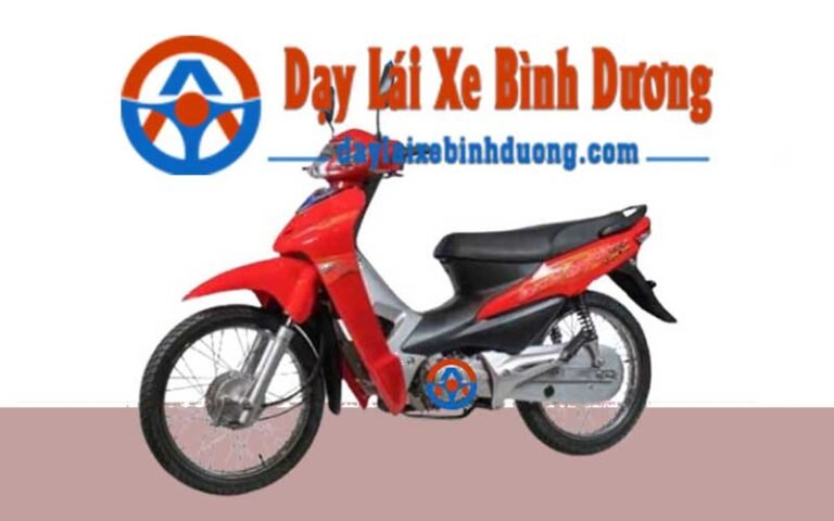 Các Bài Thi Sát Hạch Bằng Lái Ô Tô Tại Bình Dương